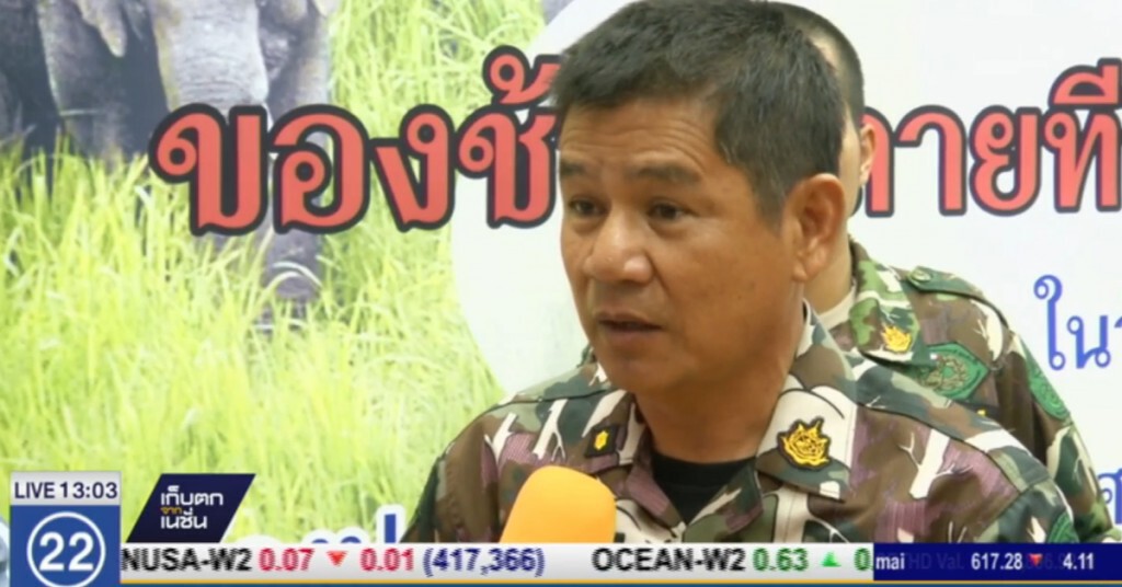 เตรียมแก้ กม.ต่างชาติครอบครองช้าง เตรียมแก้ กม.ต่างชาติครอบครองช้าง