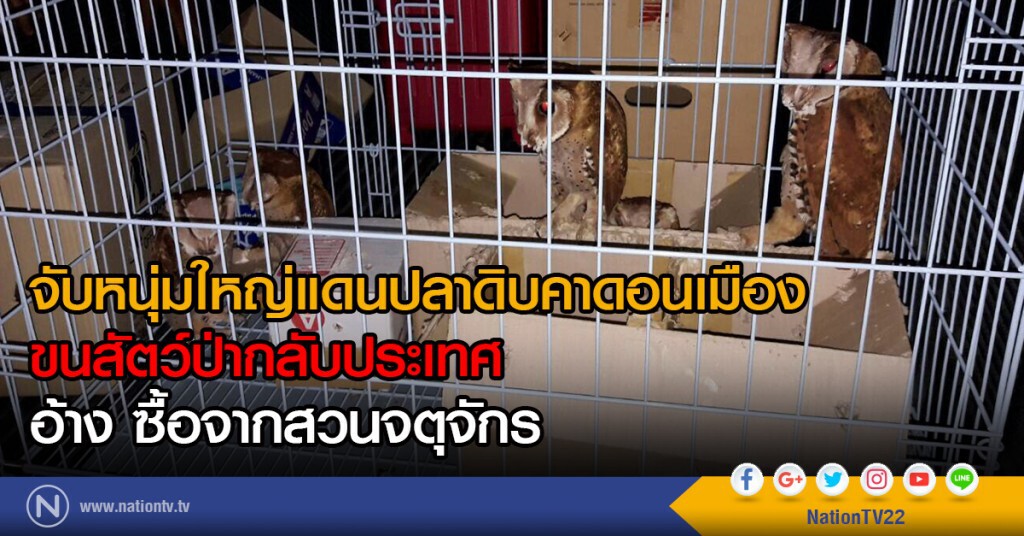จับหนุ่มใหญ่แดนปลาดิบคาดอนเมือง
ขนสัตว์ป่ากลับประเทศ
อ้าง ซื้อจากสวนจตุจักร จับหนุ่มใหญ่แดนปลาดิบคาดอนเมือง
ขนสัตว์ป่ากลับประเทศ
อ้าง ซื้อจากสวนจตุจักร
