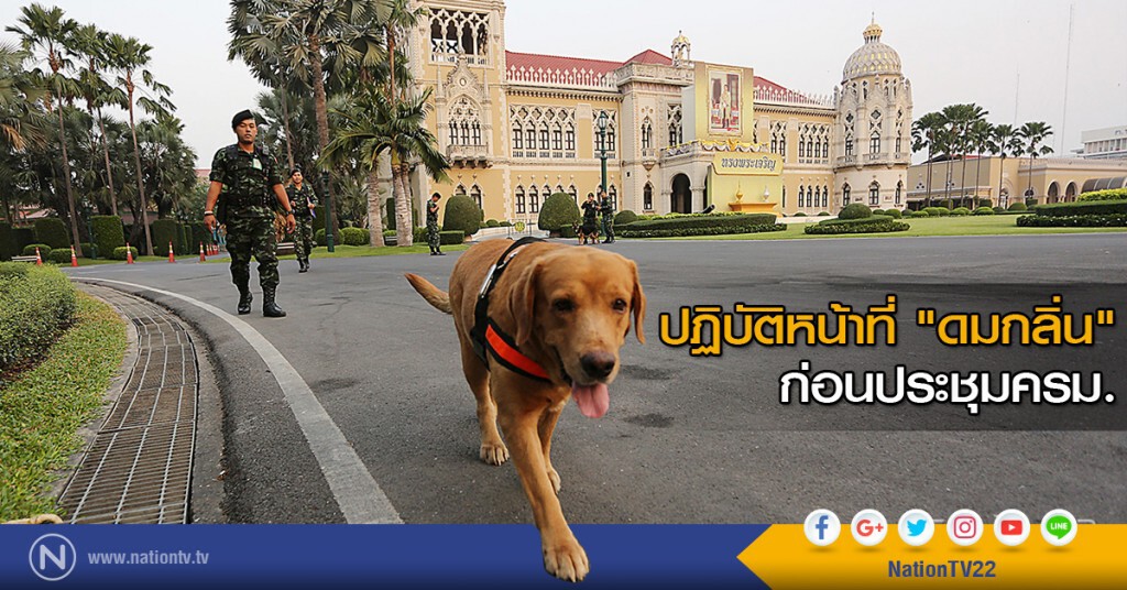 ปฏิบัติหน้าที่ "ดมกลิ่น" ก่อนประชุมครม. ปฏิบัติหน้าที่ "ดมกลิ่น" ก่อนประชุมครม.