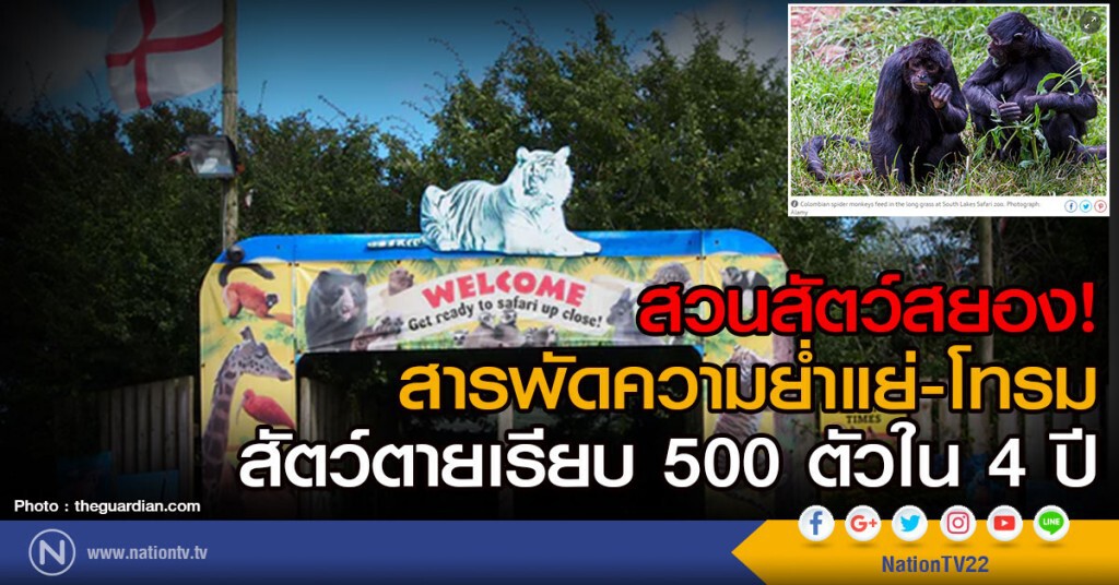 สวนสัตว์สยอง!
สารพัดความย่ำแย่-โทรม
สัตว์ตายเรียบ 500 ตัวใน 4 ปี สวนสัตว์สยอง!
สารพัดความย่ำแย่-โทรม
สัตว์ตายเรียบ 500 ตัวใน 4 ปี