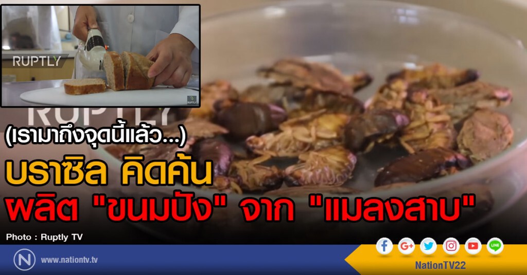 บราซิล คิดค้น
ผลิต"ขนมปัง" จาก "แมลงสาบ" บราซิล คิดค้น
ผลิต"ขนมปัง" จาก "แมลงสาบ"