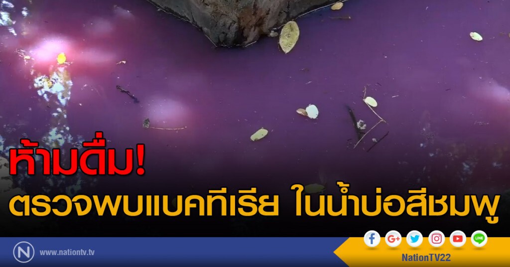 ตรวจพบแบคทีเรีย ในน้ำบ่อสีชมพู เตือนห้ามดื่ม! ตรวจพบแบคทีเรีย ในน้ำบ่อสีชมพู เตือนห้ามดื่ม!
