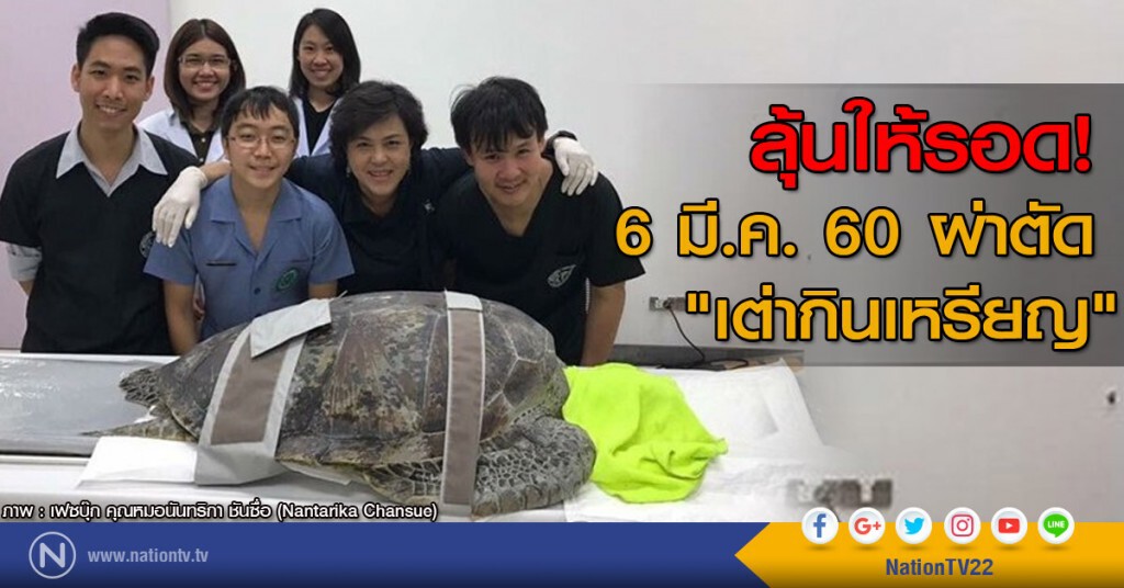ผ่าตัด "เต่ากินเหรียญ" 6 มี.ค.ลุ้นให้รอด! ผ่าตัด "เต่ากินเหรียญ" 6 มี.ค.ลุ้นให้รอด!
