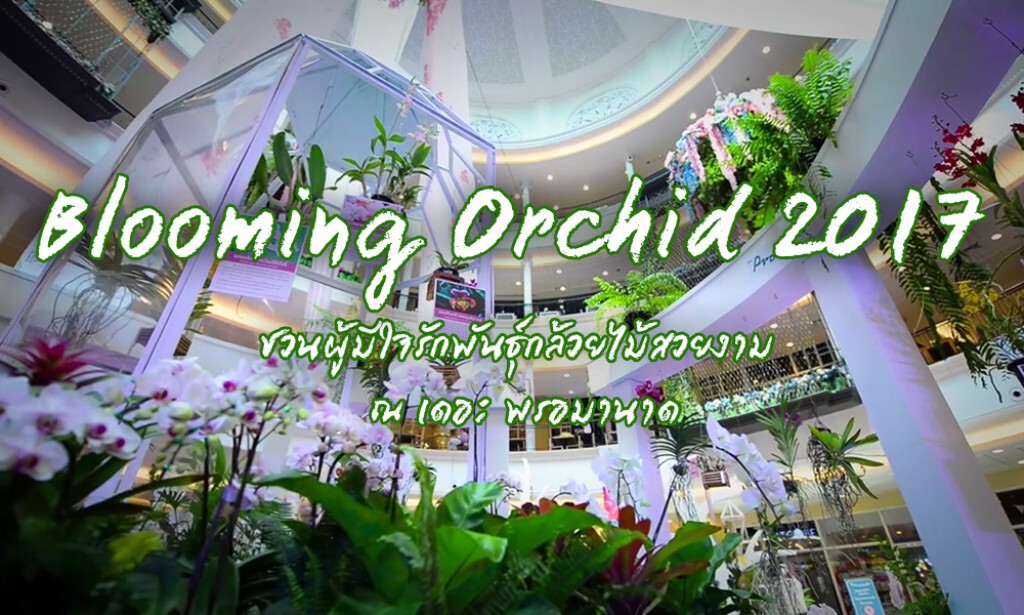 Blooming Orchid 2017  ชวนผู้มีใจรักพันธุ์กล้วยไม้สวยงาม ร่วมชมพันธุ์กล้วยไม้สวยงาม ณ เดอะ พรอมานาด