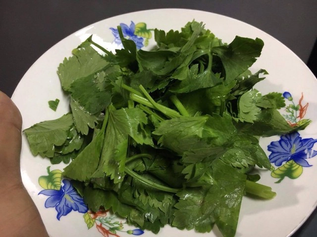 "คื่นช่าย" ผักใบเขียว สรรพคุณเพียบ