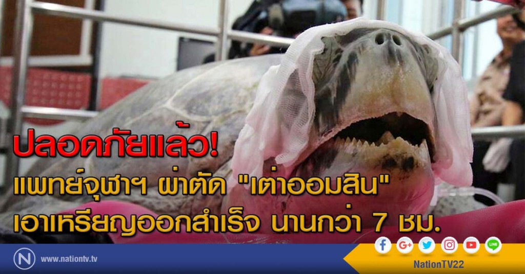 ปลอดภัยแล้ว! แพทย์จุฬาฯ ผ่าตัด "เต่าออมสิน" เอาเหรียญออกสำเร็จ นานกว่า 7 ชม.