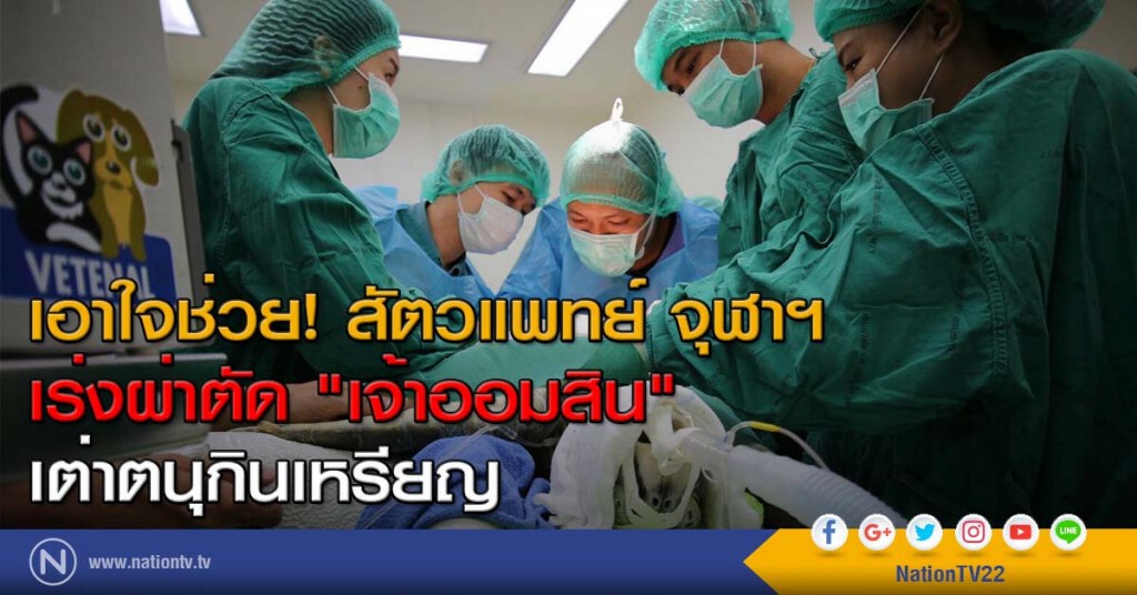 เอาใจช่วย! สัตวแพทย์ จุฬาฯ เร่งผ่าตัด "เจ้าออมสิน" เต่าตนุกินเหรียญ เอาใจช่วย! สัตวแพทย์ จุฬาฯ เร่งผ่าตัด "เจ้าออมสิน" เต่าตนุกินเหรียญ