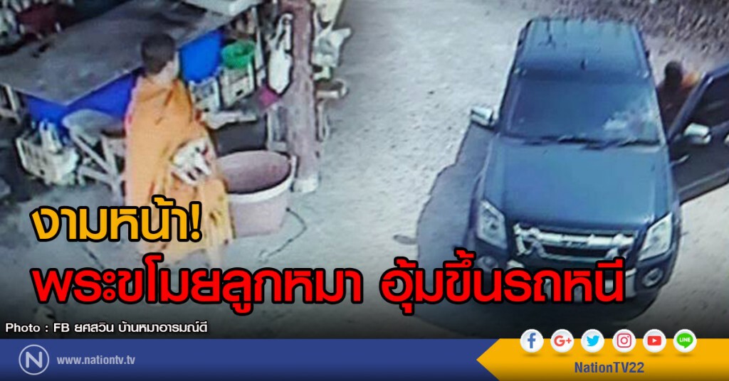 งามหน้า!
พระขโมยลูกหมา อุ้มขึ้นรถหนี งามหน้า!
พระขโมยลูกหมา อุ้มขึ้นรถหนี