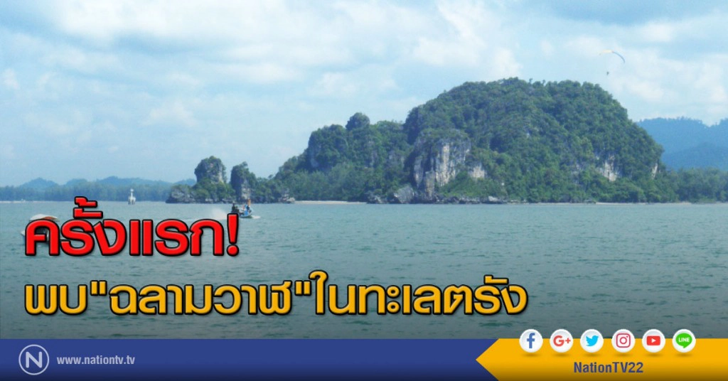 ครั้งแรก! พบ"ฉลามวาฬ"ในทะเลตรัง