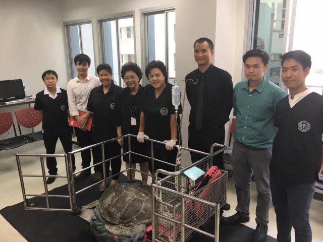 เปิดภาพจากห้องผ่าตัด... จากใจทีมแพทย์ผู้ช่วยชีวิต"เจ้าออมสิน"