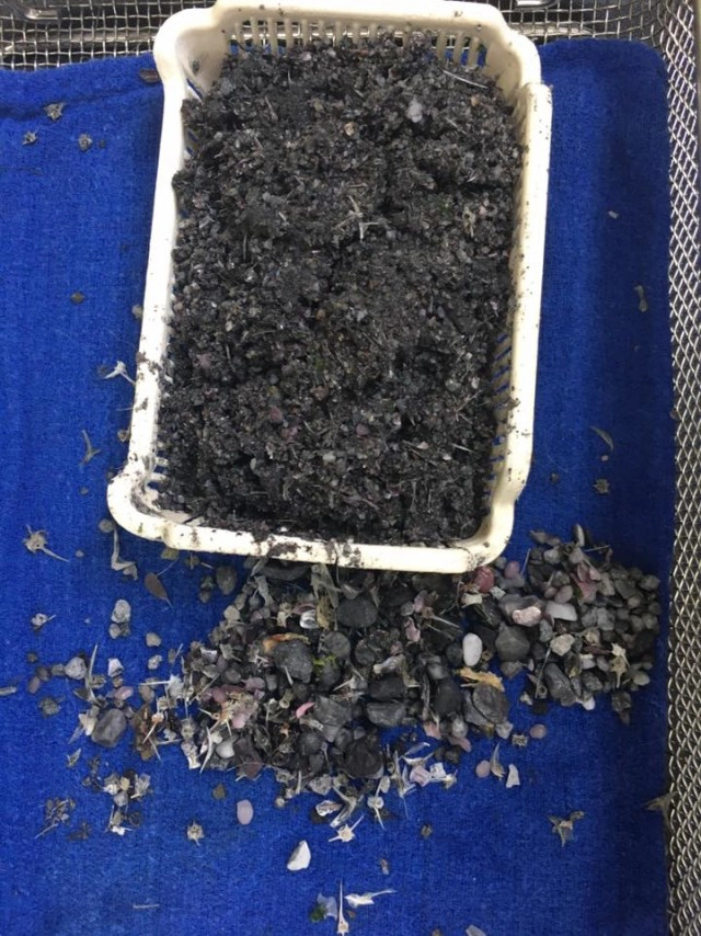 เปิดภาพจากห้องผ่าตัด... จากใจทีมแพทย์ผู้ช่วยชีวิต"เจ้าออมสิน"