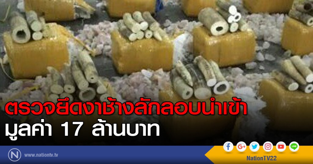 ตรวจยึดงาช้างลักลอบนำเข้า มูลค่า 17 ล้านบาท ตรวจยึดงาช้างลักลอบนำเข้า มูลค่า 17 ล้านบาท