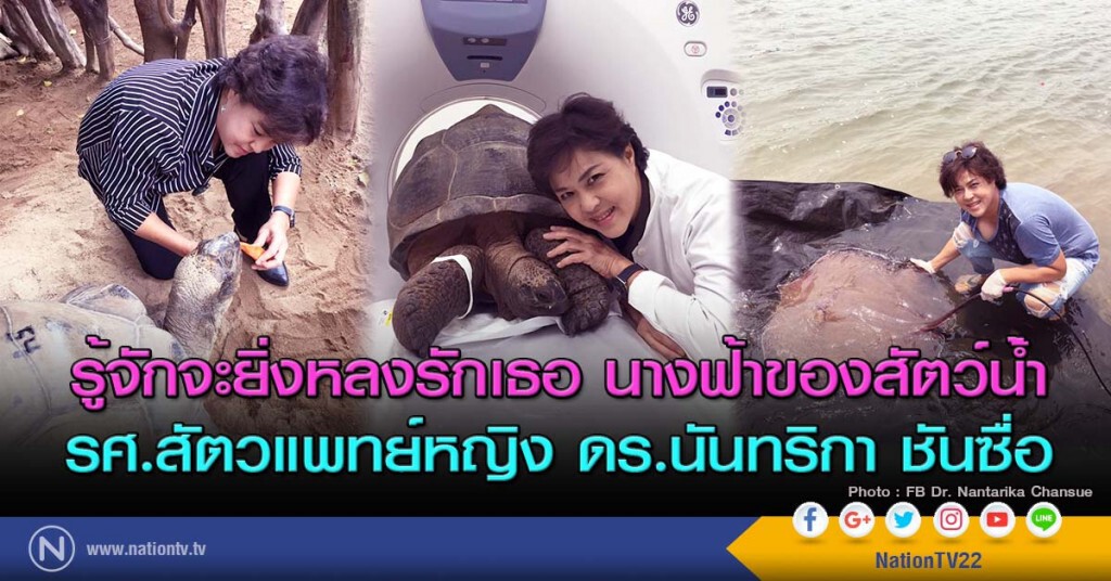 รู้จักจะยิ่งหลงรักเธอ นางฟ้าของสัตว์น้่ำ รศ.สัตวแพทย์หญิง ดร.นันทริกา ชันซื่อ