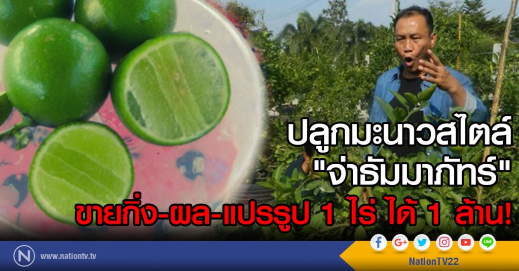 ปลูกมะนาวสไตล์ "จ่าธัมมาภัทร์" 
ขายกิ่ง-ผล-แปรรูป 1 ไร่ ได้ 1 ล้าน!
