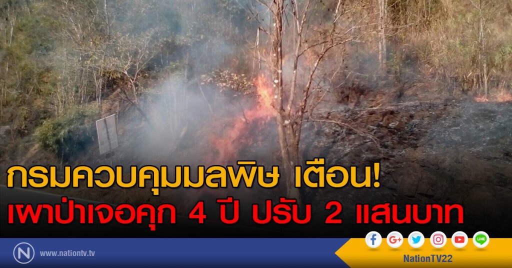 กรมควบคุมมลพิษ เตือน!
เผาป่าเจอคุก 4 ปี ปรับ 2 แสนบาท กรมควบคุมมลพิษ เตือน!
เผาป่าเจอคุก 4 ปี ปรับ 2 แสนบาท