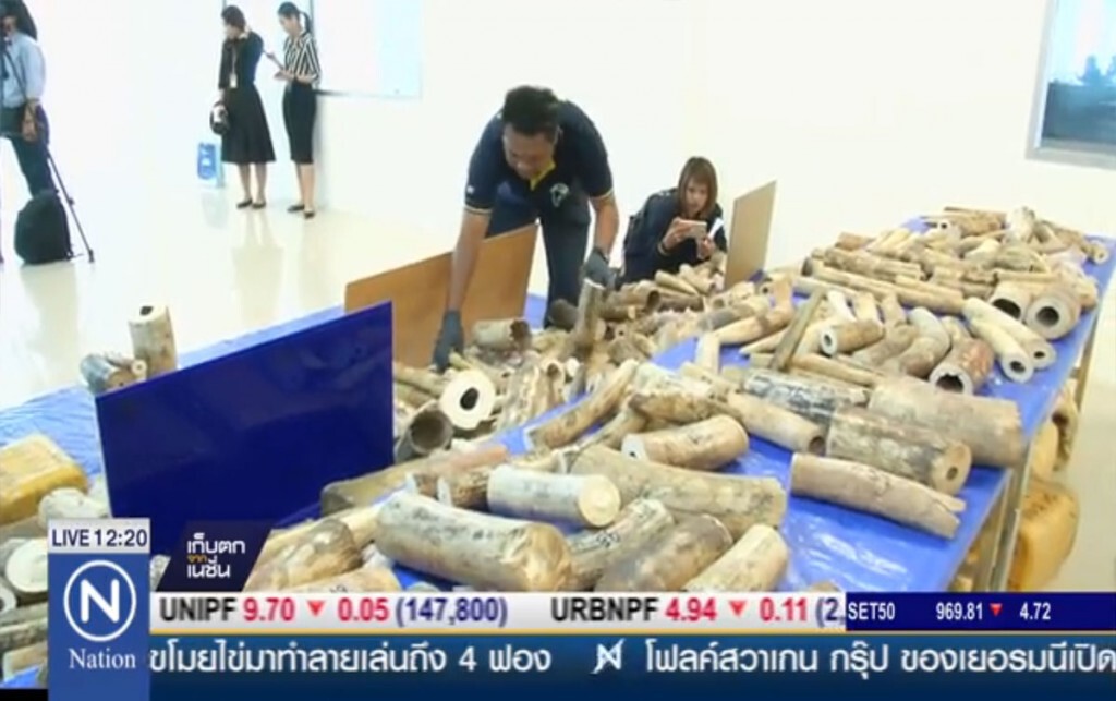 ยุทธการณ์สกัด ขบวนการลักลอบค้างาช้าง ยุทธการณ์สกัด ขบวนการลักลอบค้างาช้าง