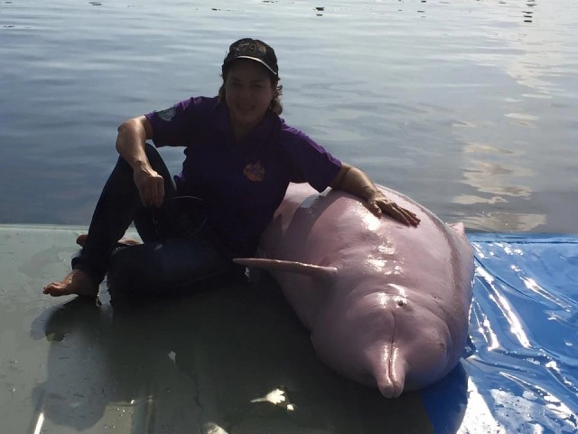 รู้จักจะยิ่งหลงรักเธอ นางฟ้าของสัตว์น้่ำ รศ.สัตวแพทย์หญิง ดร.นันทริกา ชันซื่อ