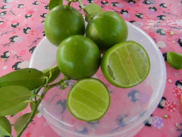 ปลูกมะนาวสไตล์ "จ่าธัมมาภัทร์" 
ขายกิ่ง-ผล-แปรรูป 1 ไร่ ได้ 1 ล้าน!