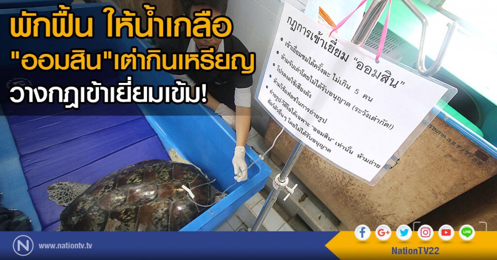 พักฟื้น ให้น้ำเกลือ
"ออมสิน"เต่ากินเหรียญ วางกฎเข้าเยี่ยมเข้ม! พักฟื้น ให้น้ำเกลือ
"ออมสิน"เต่ากินเหรียญ วางกฎเข้าเยี่ยมเข้ม!