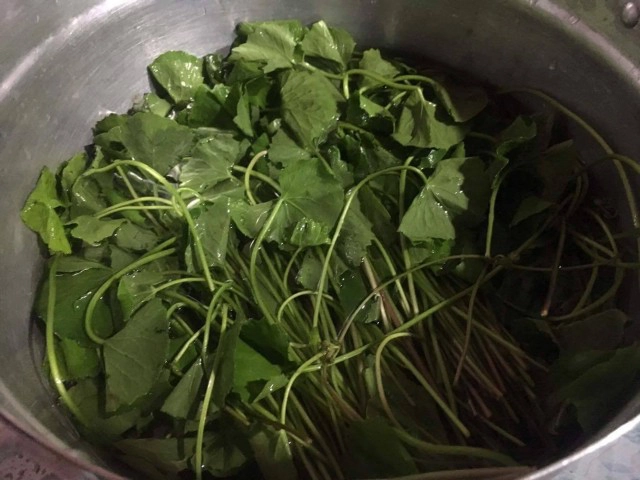 กินเป็นยา : ใบบัวบก ผักพื้นบ้าน เพื่อสุขภาพและความงาม