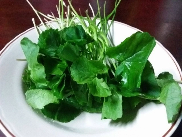 กินเป็นยา : ใบบัวบก ผักพื้นบ้าน เพื่อสุขภาพและความงาม