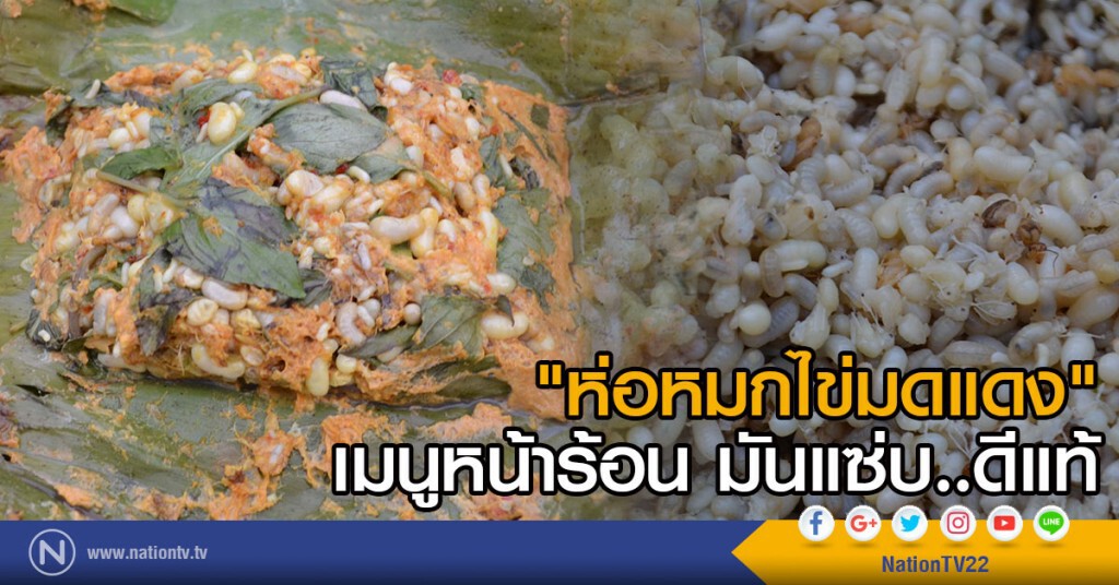 "ห่อหมกไข่มดแดง"
เมนูหน้าร้อน มันแซ่บดีแท้ "ห่อหมกไข่มดแดง"
เมนูหน้าร้อน มันแซ่บดีแท้