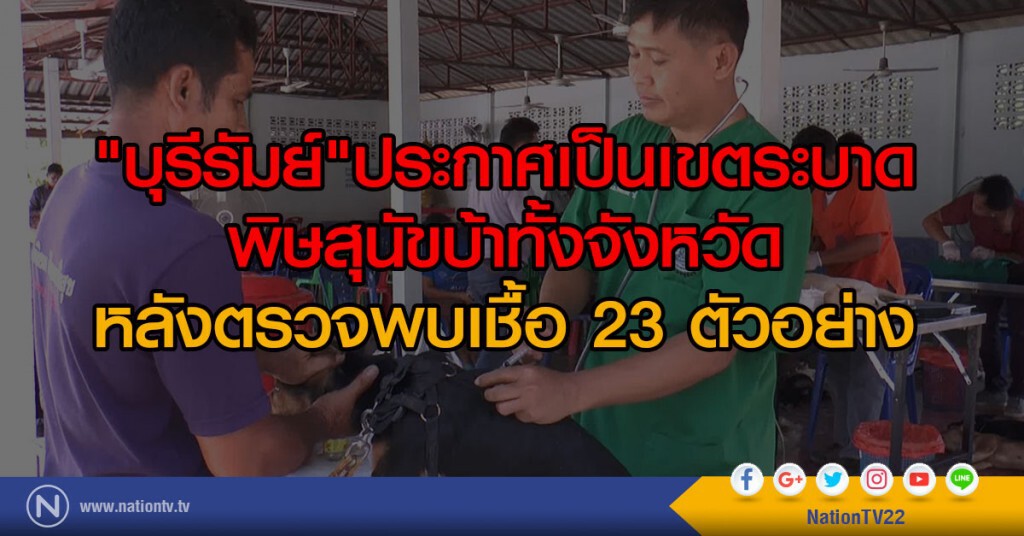 บุรีรัมย์ประกาศเป็นเขตระบาด
พิษสุนัขบ้าทั้งจังหวัด
หลังตรวจพบเชื้อ 23 ตัวอย่าง