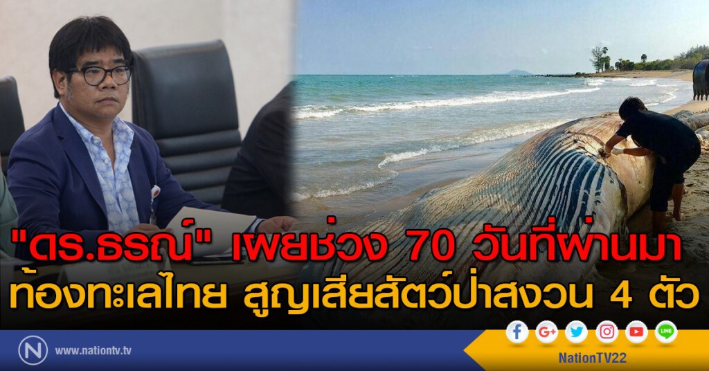 "ดร.ธรณ์" เผยช่วง 70 วันที่ผ่านมา ท้องทะเลไทย สูญเสียสัตว์ป่าสงวน 4 ตัว "ดร.ธรณ์" เผยช่วง 70 วันที่ผ่านมา ท้องทะเลไทย สูญเสียสัตว์ป่าสงวน 4 ตัว