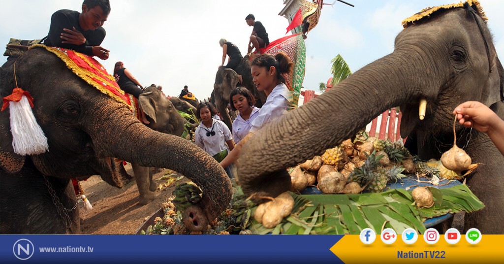 วังช้างอยุธยาแลเพนียด จัดพิธีบวงสรวงวันช้างไทย วังช้างอยุธยาแลเพนียด จัดพิธีบวงสรวงวันช้างไทย