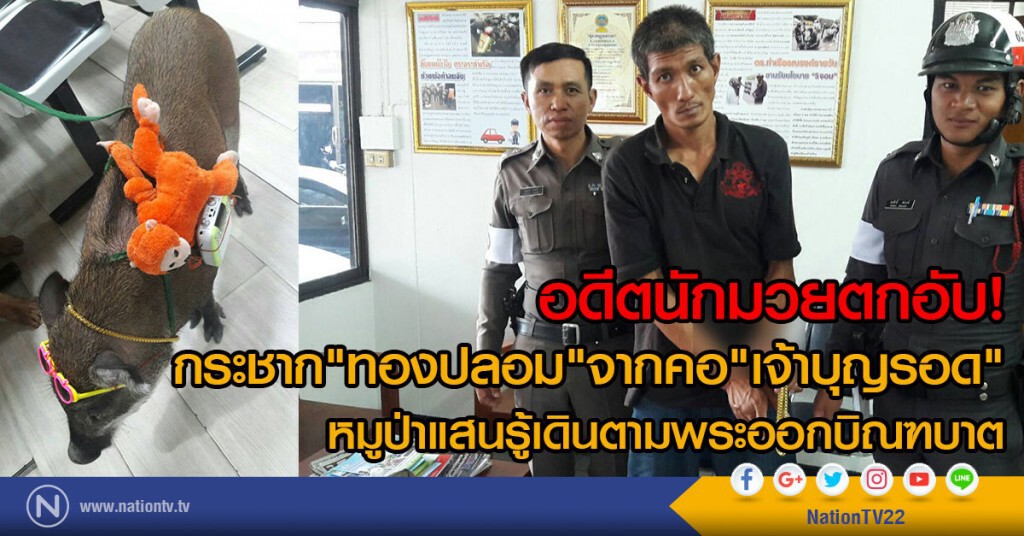 อดีตนักมวยตกอับ!
กระชาก"ทองปลอม"จากคอ"เจ้าบุญรอด"
หมูป่าแสนรู้เดินตามพระออกบิณฑบาต อดีตนักมวยตกอับ!
กระชาก"ทองปลอม"จากคอ"เจ้าบุญรอด"
หมูป่าแสนรู้เดินตามพระออกบิณฑบาต