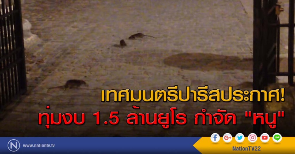 เทศมนตรีปารีสประกาศ! ทุ่มงบ 1.5 ล้านยูโร กำจัด"หนู"