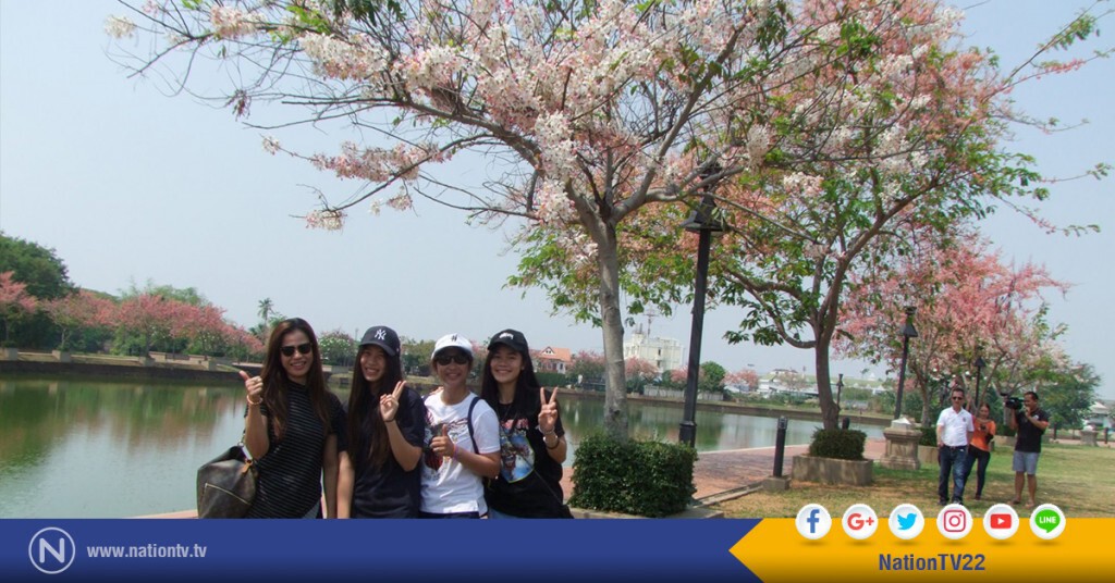 นทท. แห่ชมกัลปพฤกษ์ ณ คลองละลมโบราณ บุรีรัมย์ นทท. แห่ชมกัลปพฤกษ์ ณ คลองละลมโบราณ บุรีรัมย์