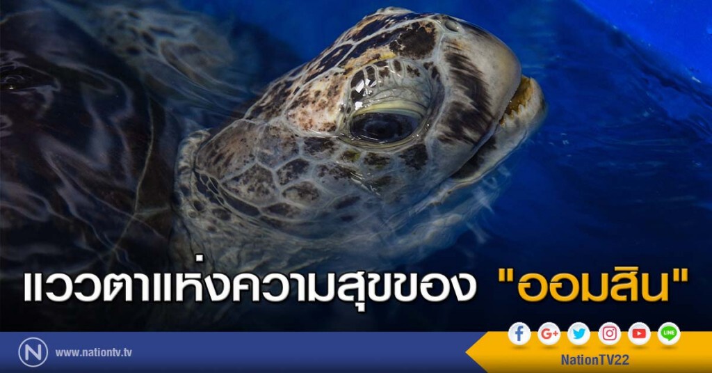 แววตาแห่งความสุขของ "ออมสิน"