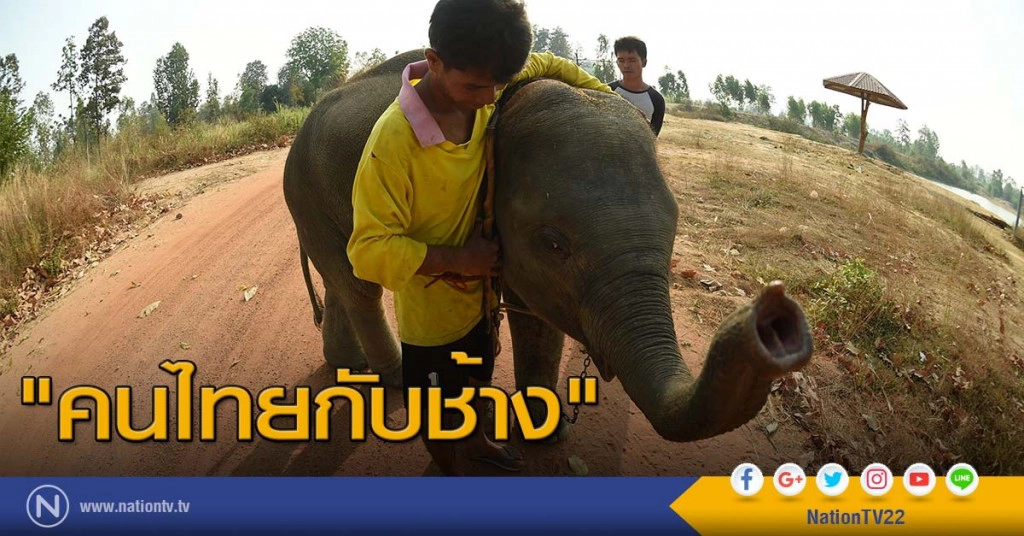 "คนไทยกับช้าง"