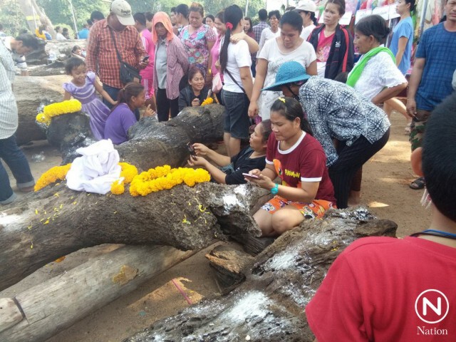 ยิ่งกว่างานประจำปี! คลื่นมหาชน แห่ขูดหาเลขเด็ดตะเคียนโบราณ