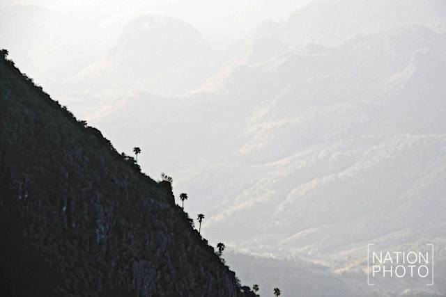 ชีวิตนี้ต้องไปให้ได้สักครั้ง.... "ดอยหลวงเชียงดาว"