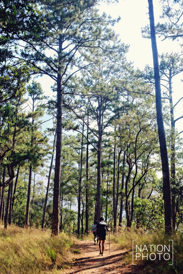 ชีวิตนี้ต้องไปให้ได้สักครั้ง.... "ดอยหลวงเชียงดาว"