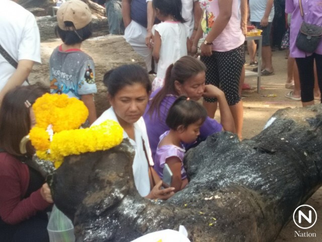 ยิ่งกว่างานประจำปี! คลื่นมหาชน แห่ขูดหาเลขเด็ดตะเคียนโบราณ