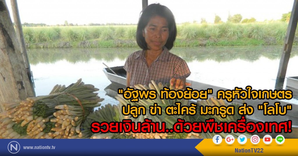 "อัฐพร ท้องย้อย" ครูหัวใจเกษตร 
ปลูก ข่า ตะไคร้ มะกรูด ส่ง"โลโบ" 
รวยเงินล้าน..ด้วยพืชเครื่องเทศ!