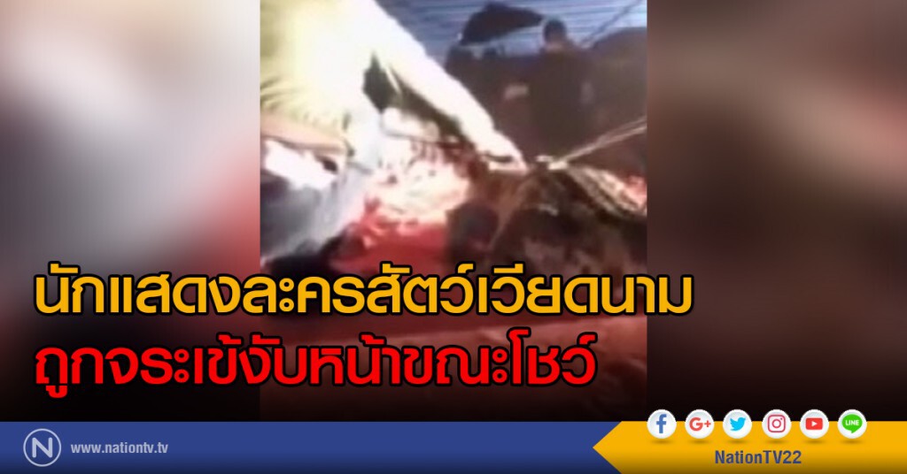 นักแสดงละครสัตว์เวียดนาม ถูกจระเข้งับหน้าขณะโชว์ นักแสดงละครสัตว์เวียดนาม ถูกจระเข้งับหน้าขณะโชว์