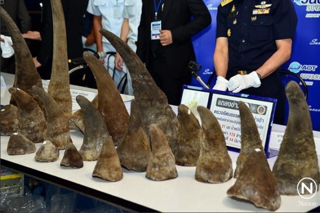 แถลงยึดนอแรดจากเอธิโอเปีย
มูลค่ากว่า 173 ล้านบาท