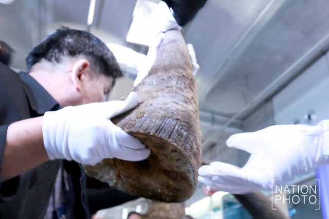ภาพชุด แถลงยึด"นอแรด"จากเอธิโอเปีย
มูลค่ากว่า 173 ล้านบาท