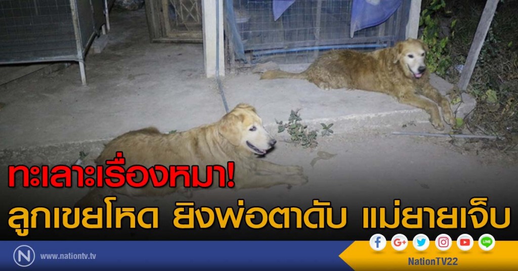 ทะเลาะเรื่องหมา! ลูกเขยโหดยิงพ่อตาดับ แม่ยายเจ็บ ทะเลาะเรื่องหมา! ลูกเขยโหดยิงพ่อตาดับ แม่ยายเจ็บ