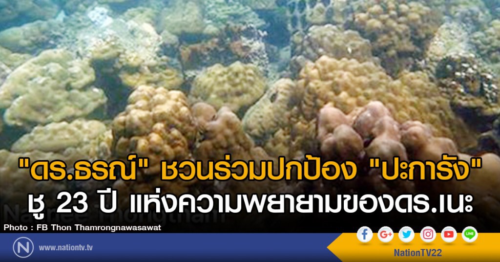 "ดร.ธรณ์" ชวนร่วมปกป้อง "ปะการัง"
ชู 23 ปี แห่งความพยายามของดร.เนะ