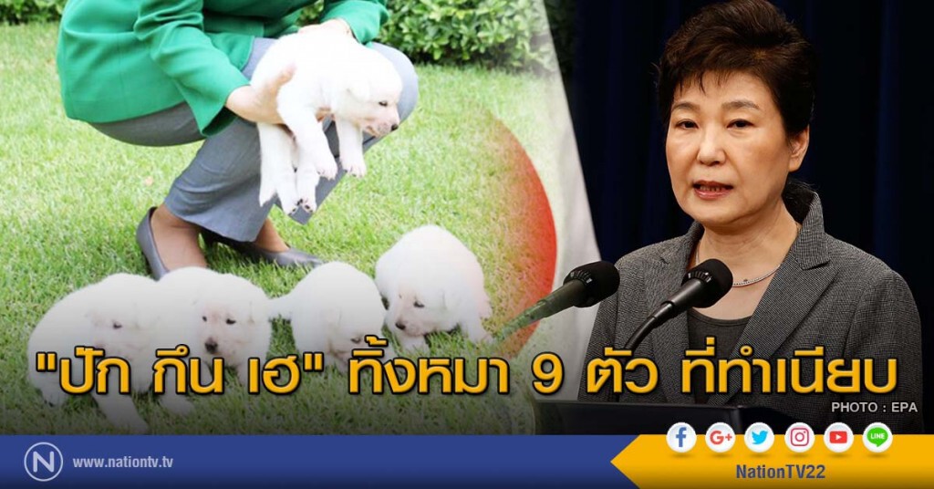 "ปัก กึน เฮ" ทิ้งหมา 9 ตัว ที่ทำเนียบ "ปัก กึน เฮ" ทิ้งหมา 9 ตัว ที่ทำเนียบ