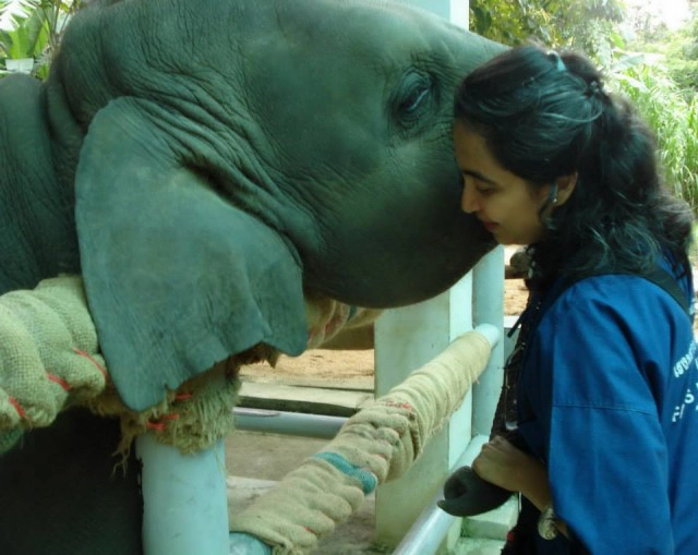 ช่วยช้างด้วย!
"โซไรดา ซาลวาลา"จะขอยุติมูลนิธิเพื่อนช้าง
ทำมา 24 ปี ติดหนี้ 20 ล้าน