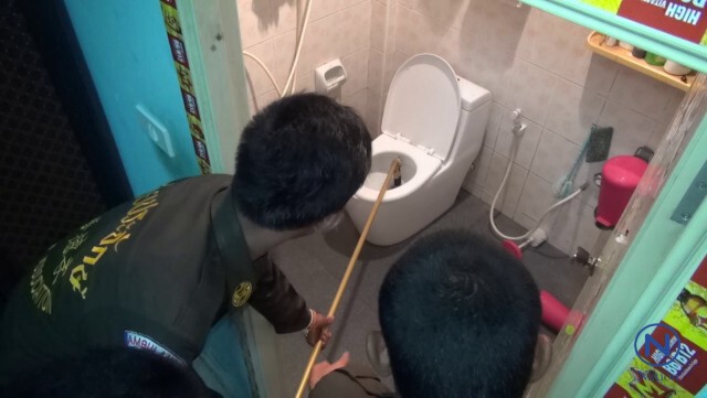 หนุ่มหนองคาย เข้าห้องน้ำ
ผงะ! เจองูเห่ายาวเกือบ 2 เมตร ขดในชักโครก