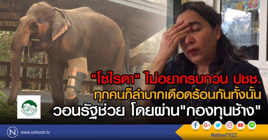 "โซไรดา"  ไม่อยากรบกวน ปชช.
ทุกคนก็ลำบากเดือดร้อนกันทั้งนั้น
วอนรัฐช่วย โดยผ่าน"กองทุนช้าง"