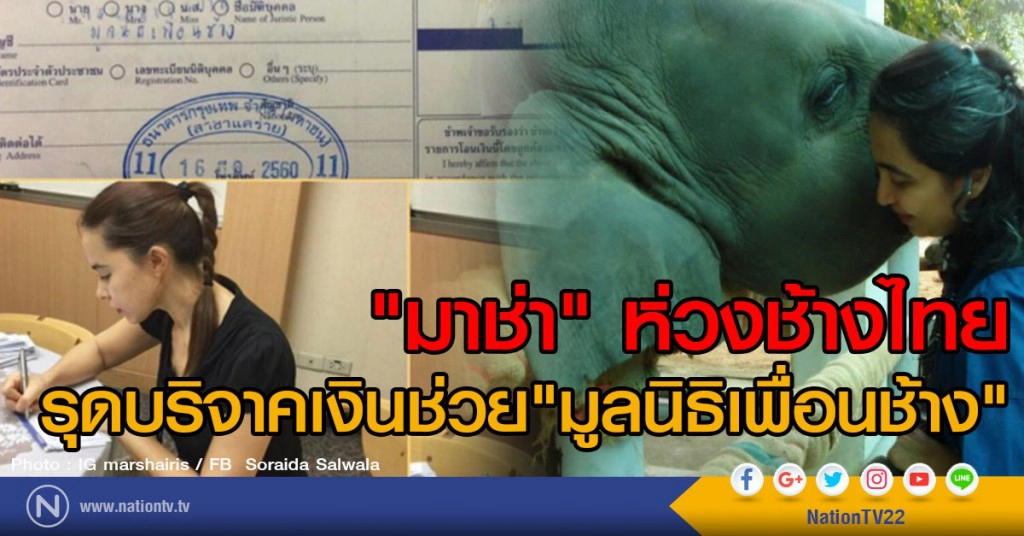 "มาช่า" ห่วงช้างไทย
รุดบริจาคเงินช่วย"มูลนิธิเพื่อนช้าง" "มาช่า" ห่วงช้างไทย
รุดบริจาคเงินช่วย"มูลนิธิเพื่อนช้าง"