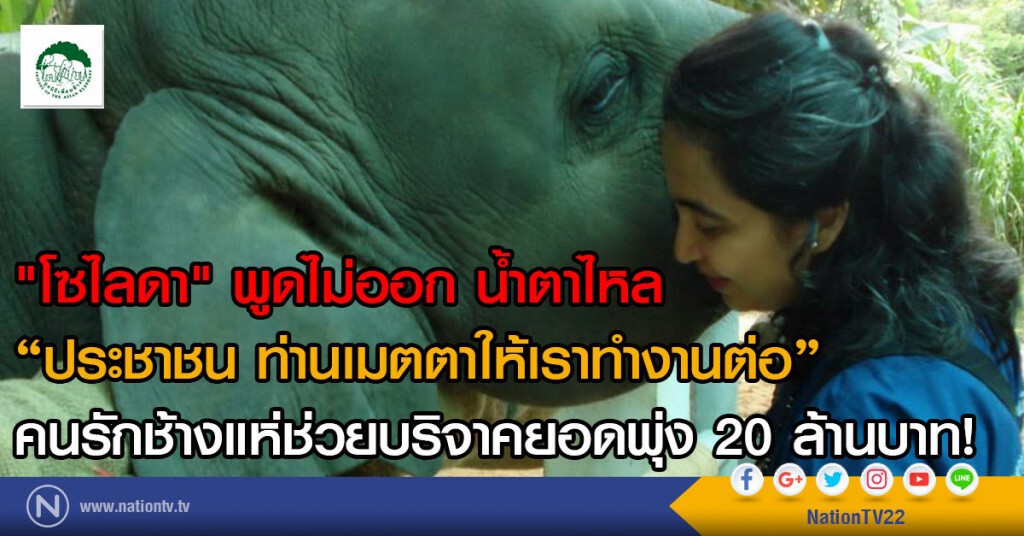 "โซไลดา" พูดไม่ออก น้ำตาไหล
ประชาชน ท่านเมตตาให้เราทำงานต่อ
คนรักช้างแห่ช่วยบริจาคยอดพุ่ง 20 ล้านบาท